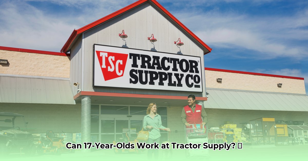 can-you-work-at-tractor-supply-at-17